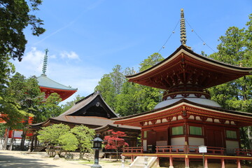 Obraz premium 高野山