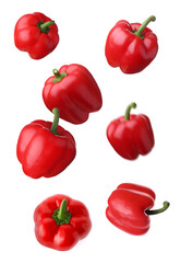 Red bell peppers falling on white background