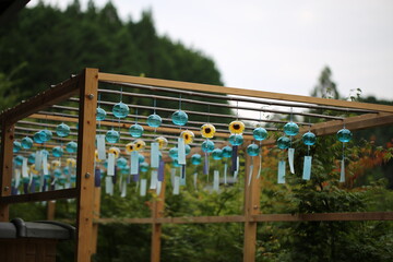 Fototapeta premium 正寿院 猪目窓