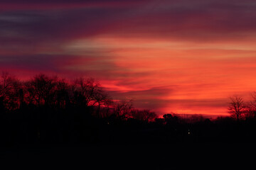 sunset in the forest