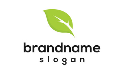 modern leaf logo design vector
