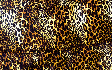 animal skin pattern