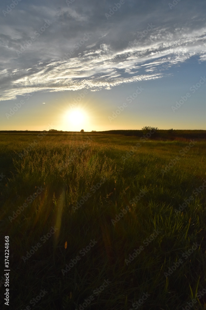 Poster sunset over a field