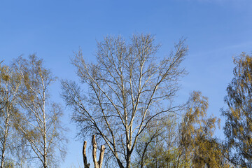 specifics and features of the autumn season