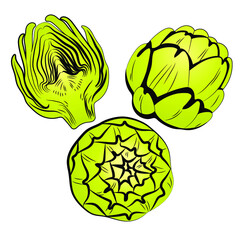 
Green artichoke isolate on white background. Flora botany decorative element.