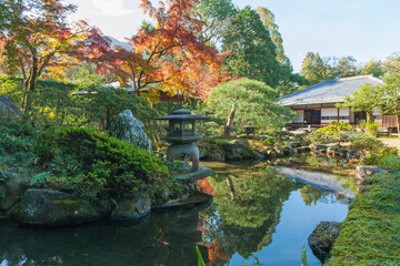 Fototapeta premium The Japanese garden has a calm atmosphere.