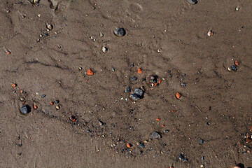 rocks on wet sand