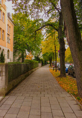 Autumn sidewalk