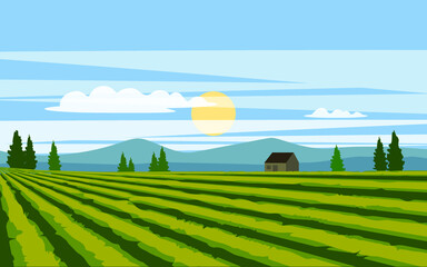 summer landscape with green field