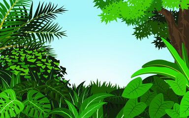 Tropical forest illustration