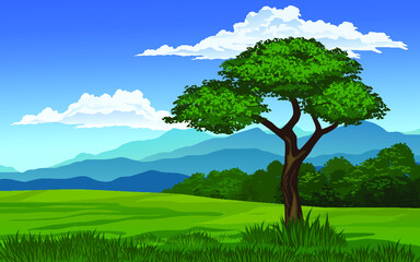 Fototapeta na wymiar landscape with tree
