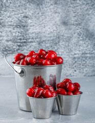 Dogwood berries in buckets side view on plaster and grungy background