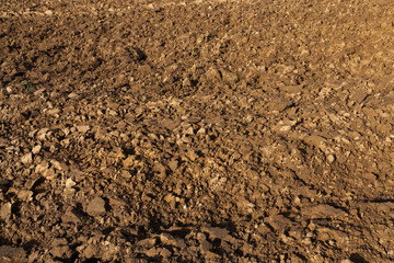 pieces of soil in the field