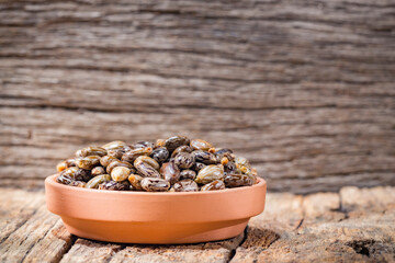 castor oil and seeds, on wooden background