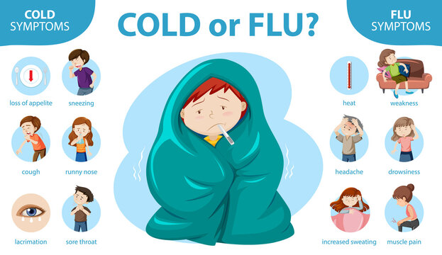 Medical infographic of cold and flu symptoms