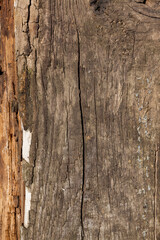 old rotting decaying boards