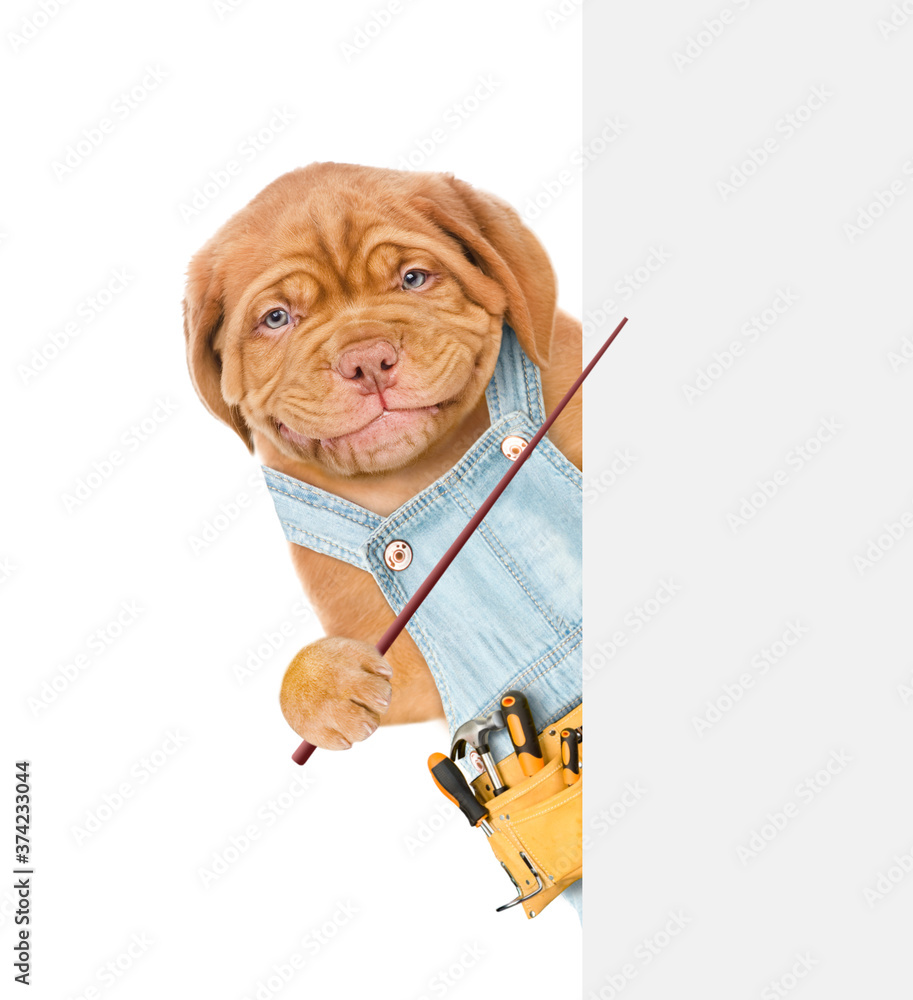 Poster Smiling puppy overalls and tool belt points on empty white banner. isolated on white background