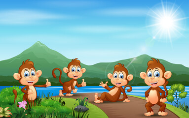Group of monkey enjoying nature on road