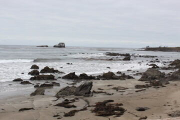 Fototapeta premium Nature Photos