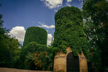 old towers overgrown with a climbing plant