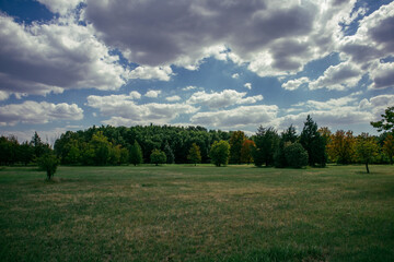 green field and blue sky