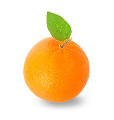 orange isolated on white background.