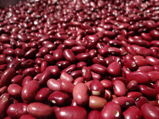 red kidney beans background