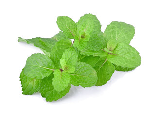 Peppermint isolated on white background.