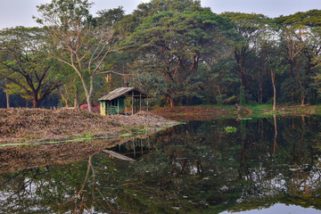 Obraz premium View of Indian Botanic Garden located at Shibpur, Howrah, West Bengal, India