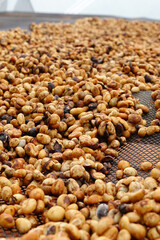  Close up of coffee beans for background                                