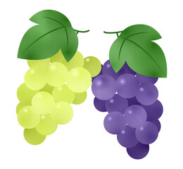 ぶどうとマスカット