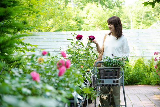Mature Woman Shopping in the Garden Shop