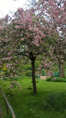 Naklejka premium Admiring the flowers and landscapes of our world