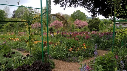 Admiring the flowers and landscapes of our world