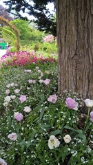 Admiring the flowers and landscapes of our world