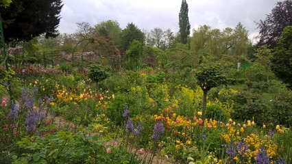 Admiring the flowers and landscapes of our world