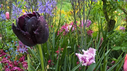 Admiring the flowers and landscapes of our world