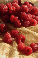 Raspberry