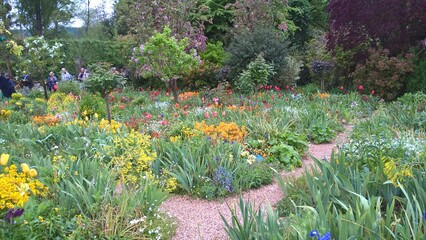 Admiring the flowers and landscapes of our world