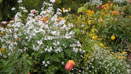 Admiring the flowers and landscapes of our world