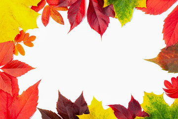 Naklejka na ściany i meble Frame from many autumn colorful leaves, texture background