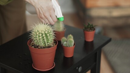 Dolly move of woman waters cactuses on the bedside table