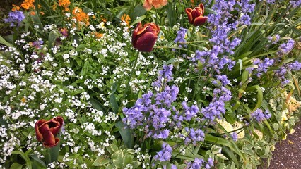 Admiring the flowers and landscapes of our world