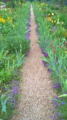 Admiring the flowers and landscapes of our world