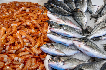 Prawns and fish for sale at a market