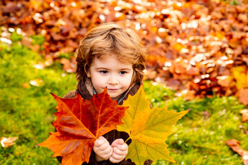 Child in warm Clothing at autumn holding leaves.