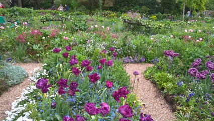 Admiring the flowers and landscapes of our world