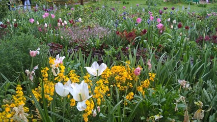 Admiring the flowers and landscapes of our world