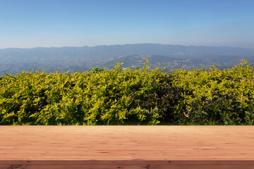 mountain view with wood plank background
