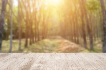 wooden bridge in the forest